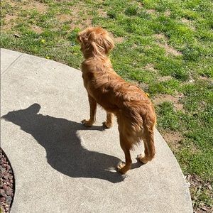 Meet your Posher, Austin